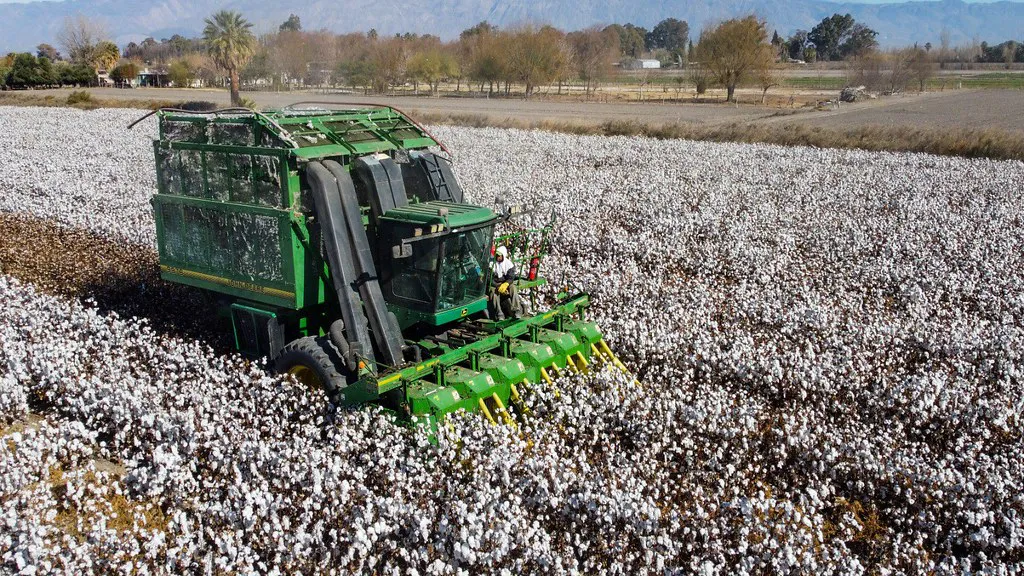 53045823871_237ed540df_b