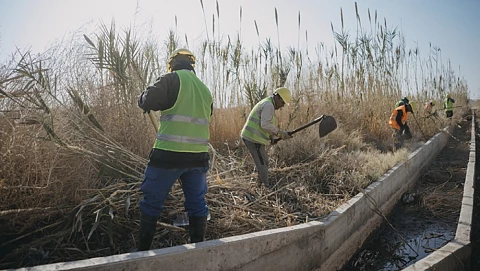 a4c42d61fb8ed713b64d33b4d5527f51_XL