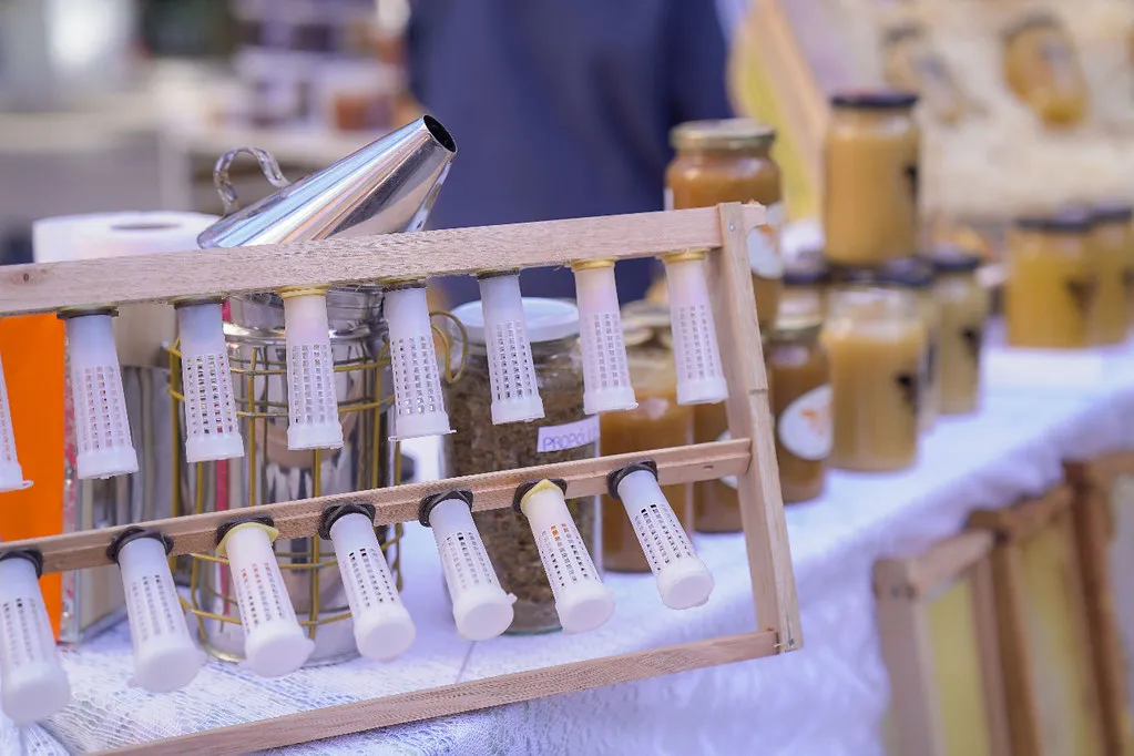 52163056568_846779415d_b