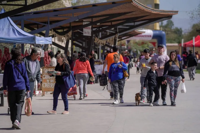 1e252a7caa5aac1b786bfadeb0105234_L