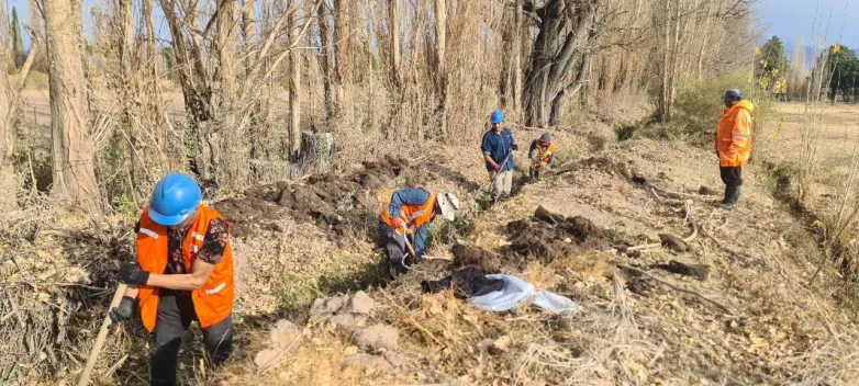 dc12a22ff17e6562c6e88e1417b51036_L