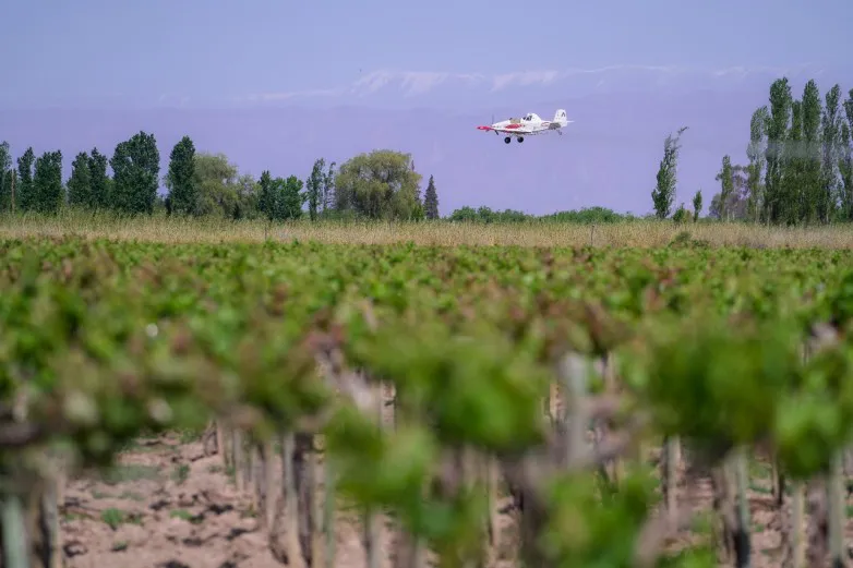 d6243ec40c78047e3c5b83bc4755665f_L