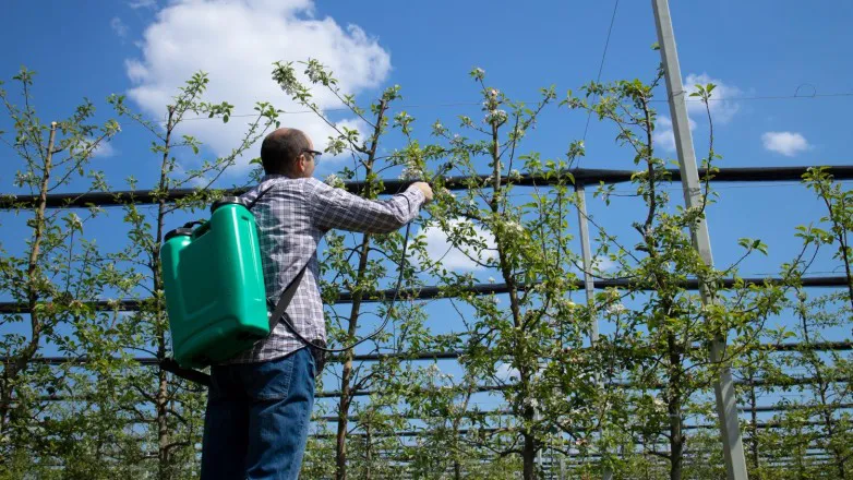 db424e8b713edb21d88508832f460722_L