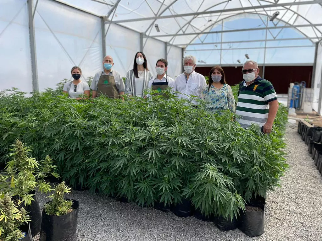 51766986669_f358b5d423_b