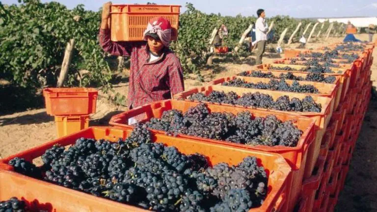 image59d53503bea55-768x432