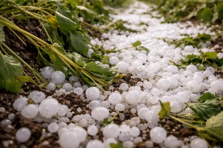 9cf2b91f36ec5852e7d06f209626e3d6_L