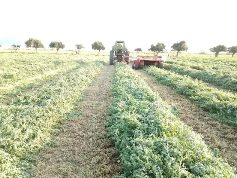 7bc6c3d4-da5d-4107-8b62-4663e7f2654b