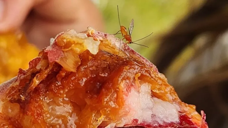 11a5fa57149e297d4f0410df2881d4be_L