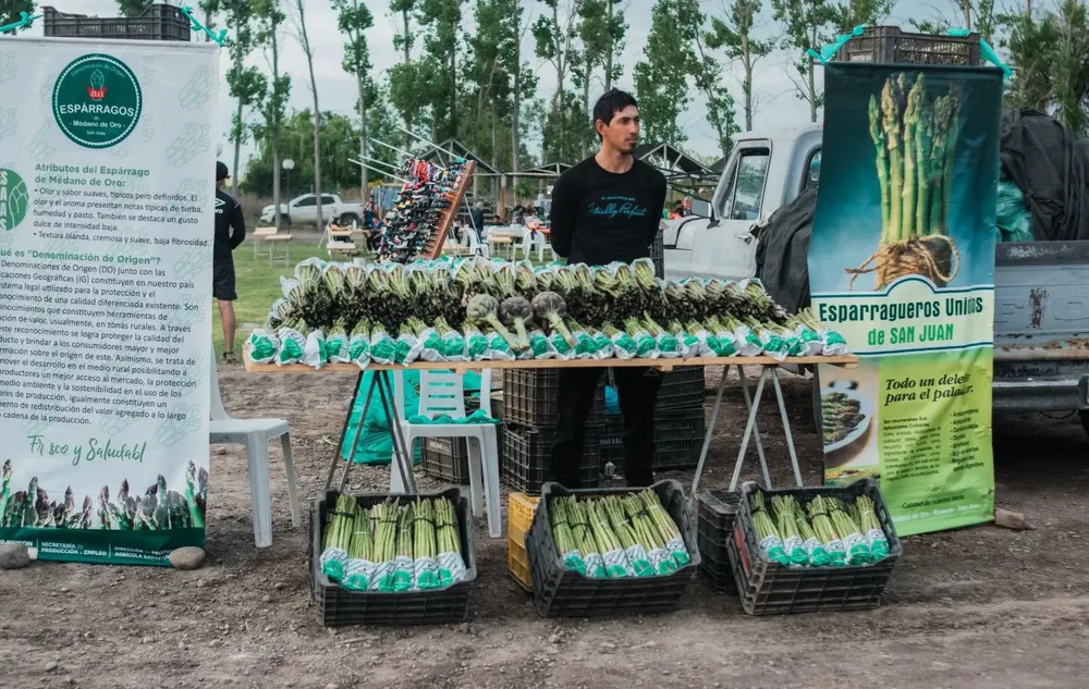 1d22f9f7-c9f1-42d9-a992-06f7da047ce5