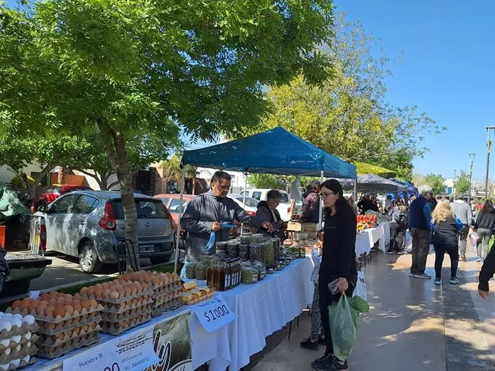 Feria-Agro-productiva-e1726488113671