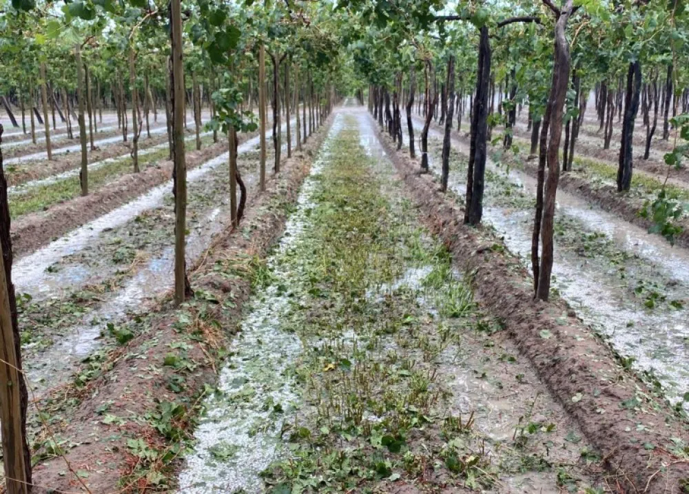 e4d49a6243571c666ccc4b3d8b7a015e_XL