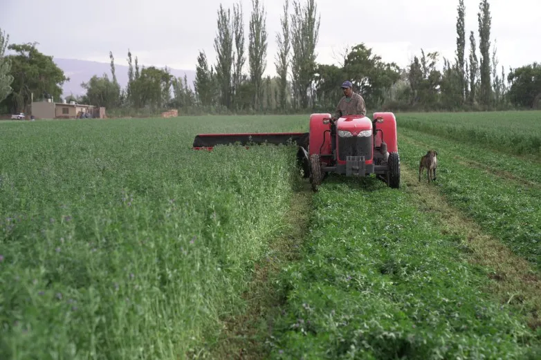 b2b589f3fa3e9b6d5b7523d199bccb23_L