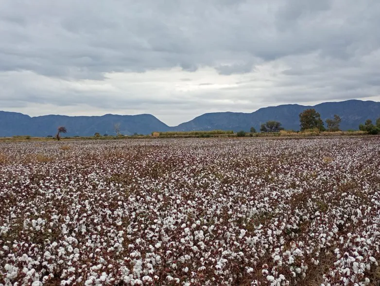 feb666bd990c06ccd3948768e2b380cf_L