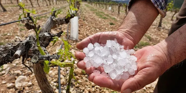 fcec07ec609976d95fe8dab1786bc006_L