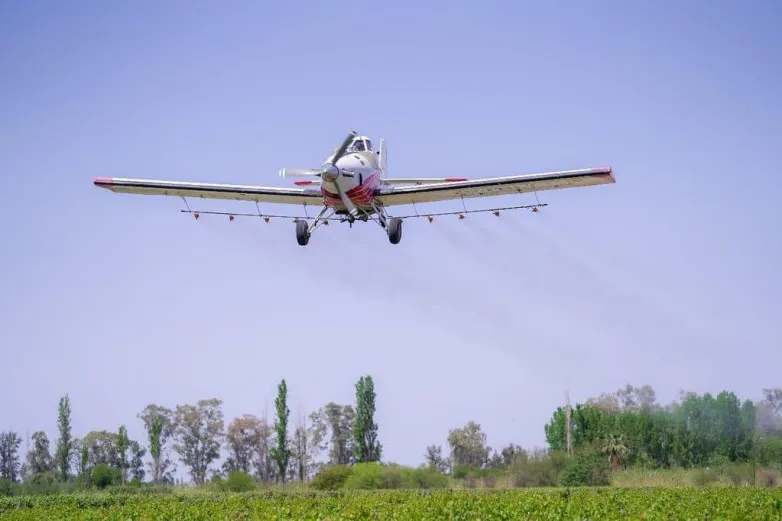 e501f1a2fb25bc81374cc58380da9b6c_L