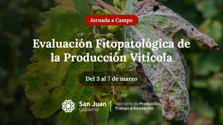 c4efeb547f9cadeeb70f88e2cf4b74ee_L