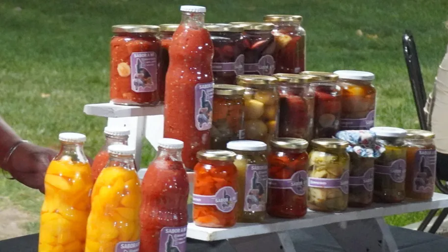 inbound7483199516689101549