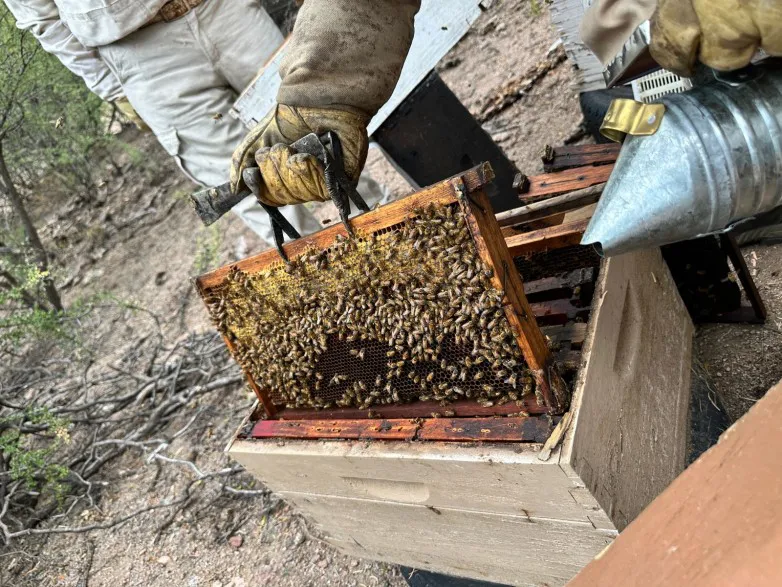 adda848092d246508d27cecb03aef862_L