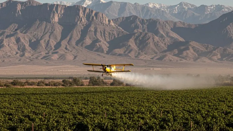 d55b800ffba3cc846feb20a1ddccf5b3_L