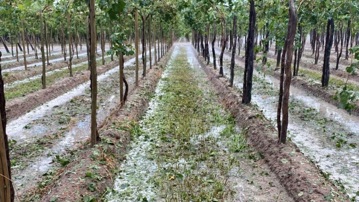 inbound5004714571942840815