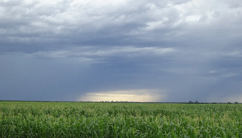 clima-en-el-campo-frio