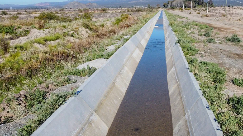 53367415184_bb8b3c82f9_b