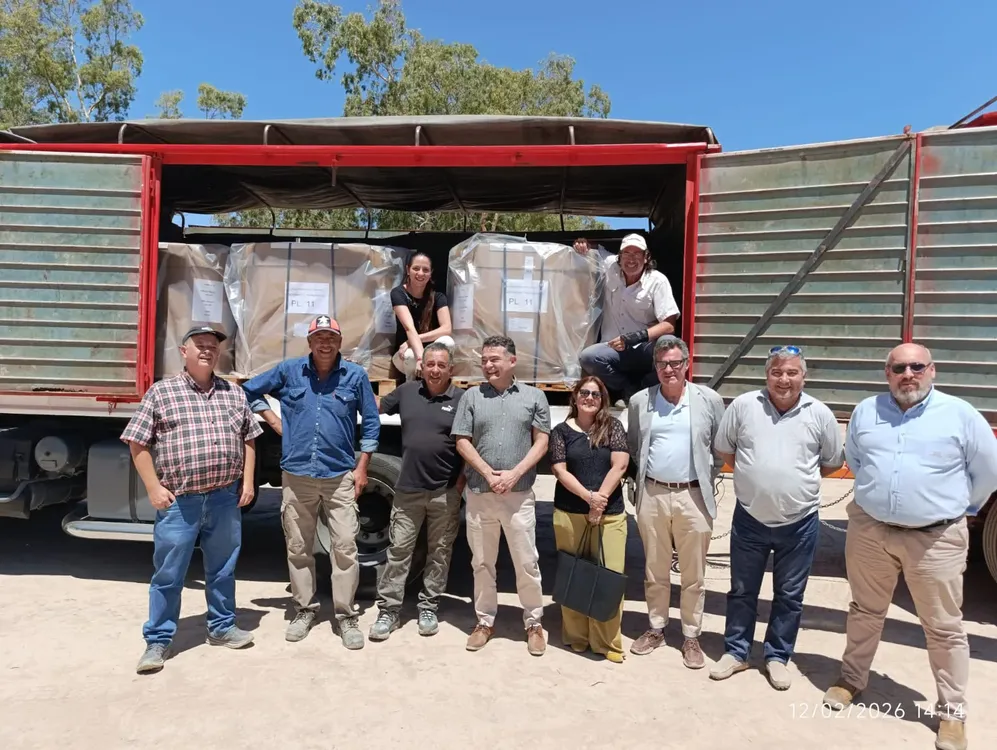 WhatsApp Image 2026-02-13 at 11.13.42