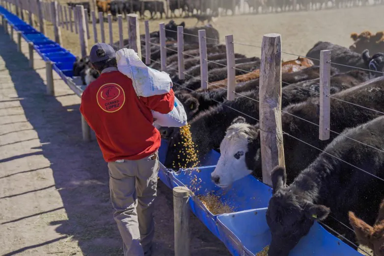 ef72c444ec0a20e24071c12b6cabd22a_L