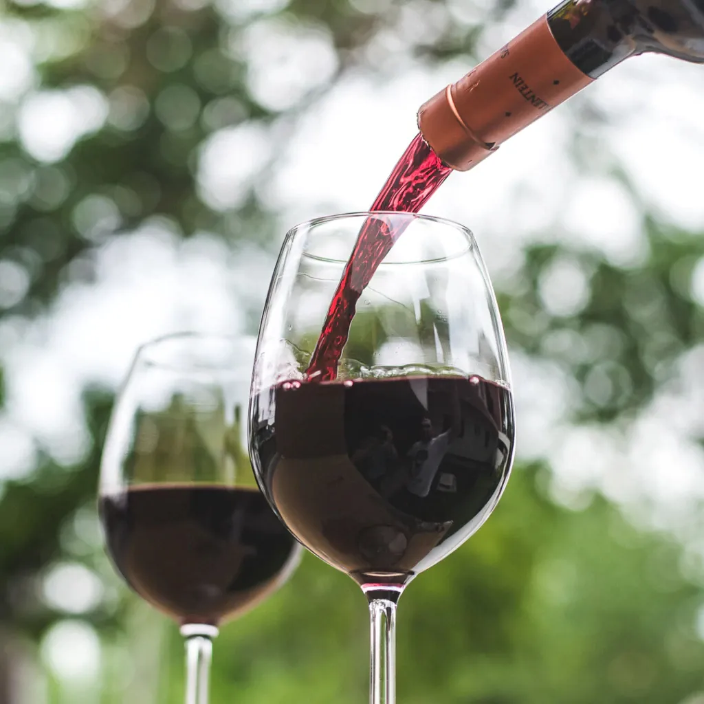 dsc_312511-6f5641a74e6907aede16764181117144-1024-1024