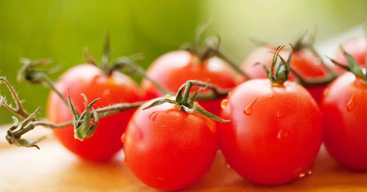 tomate