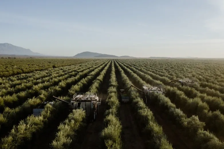 f714f2621aebf99abcf9508d2017f344_L