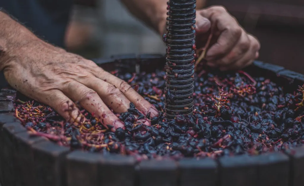 bianca-isofache-wHy60Yonie4-unsplash-1024x628