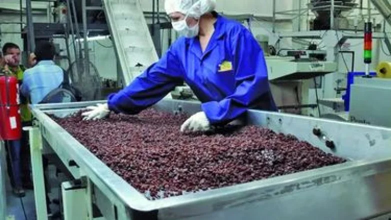 e16db427e9d4128525ff2097985d1861_L