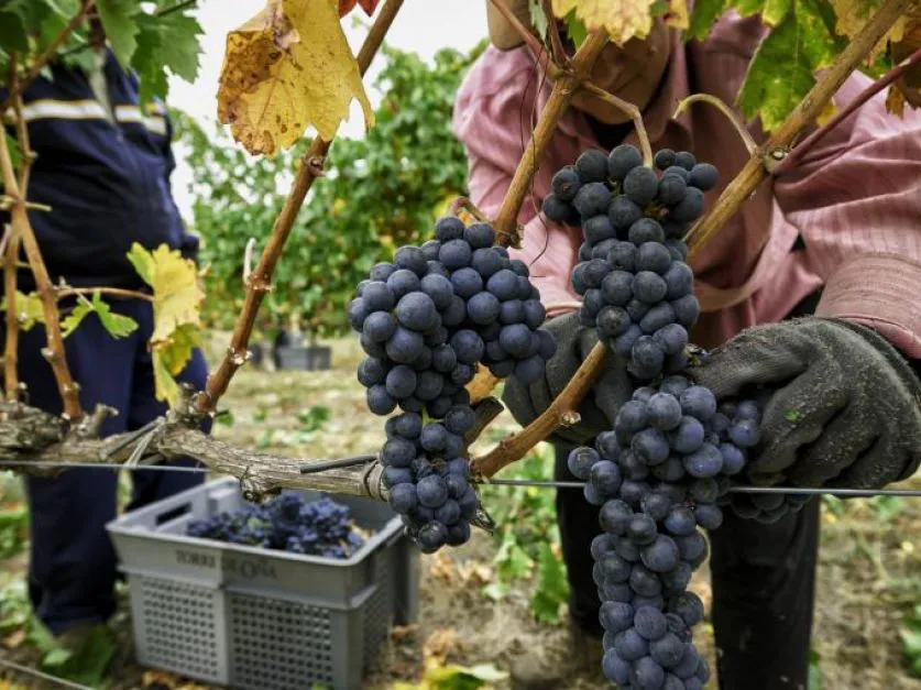 5b7daeeb77771_837_627!