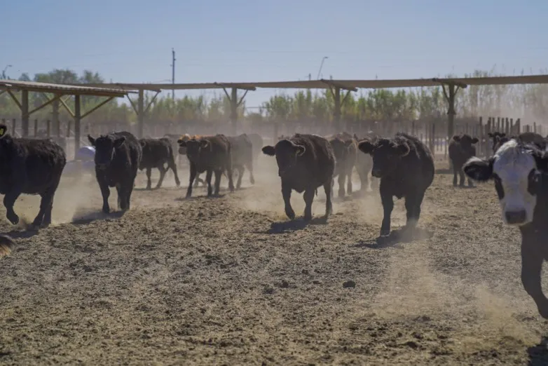 70344cf0aedfc01d1b3d49fe4b8c1025_L